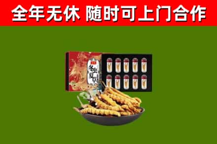 花山回收冬虫夏草价格